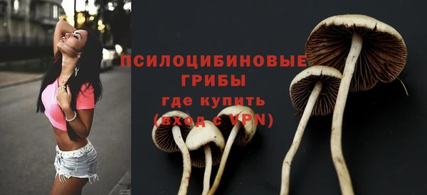 мдпв Лагань
