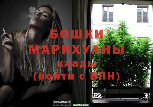 мдпв Лагань