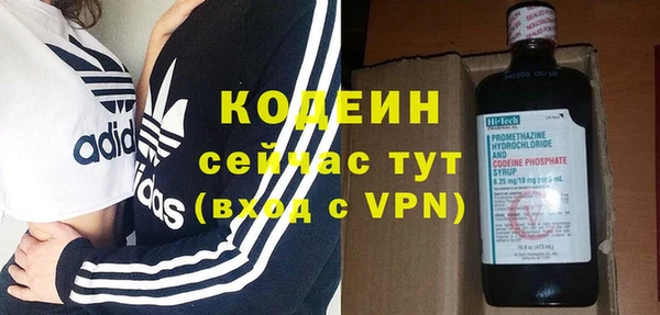 мдпв Лагань