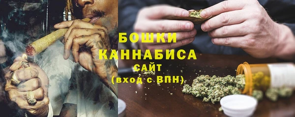 мдпв Лагань
