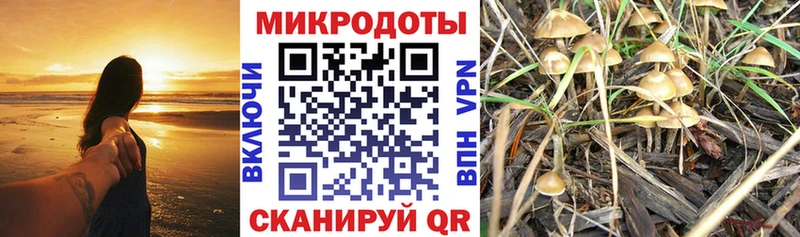 Галлюциногенные грибы мицелий  Купить где  Шацк