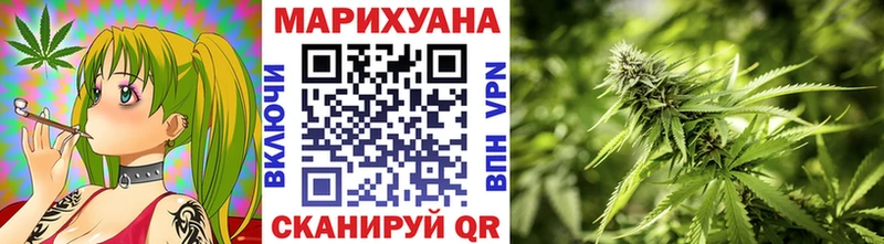 Купить закладки  Шацк  Бошки марихуана ГИДРОПОН 